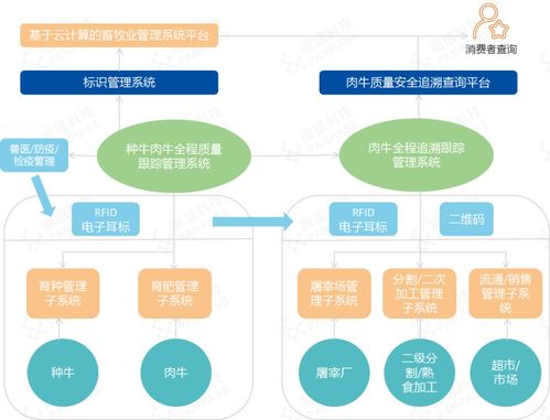 兆信科技携手百亚成构建牛羊智慧养殖与产品质量追溯新标杆——以华盛源通监控系统为核心的全链路实践